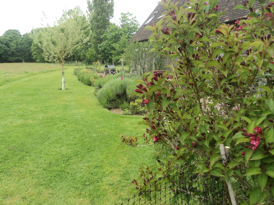 Looking down the garden from Foxglove.   May 2017