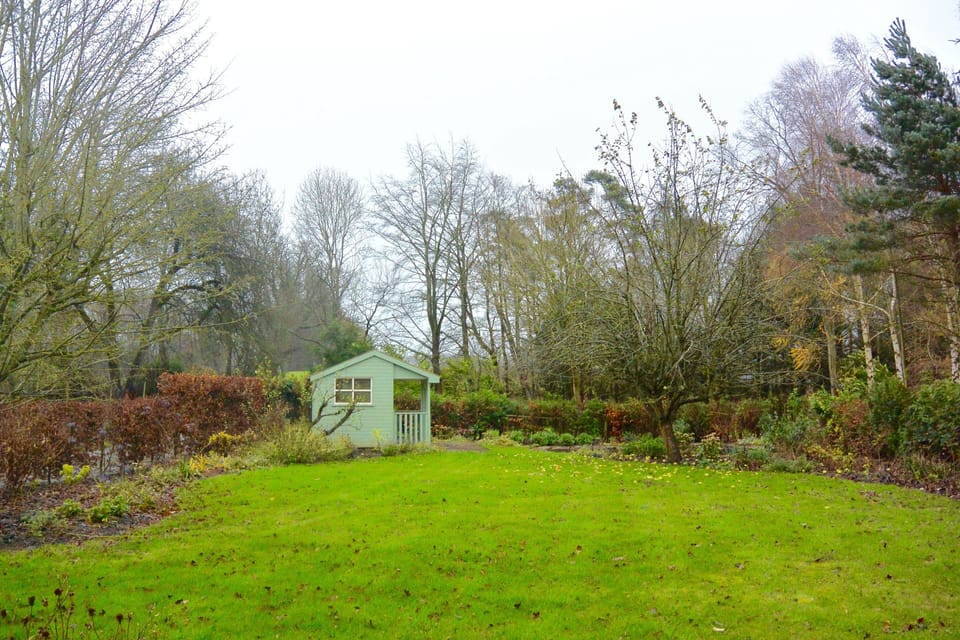 Garden.