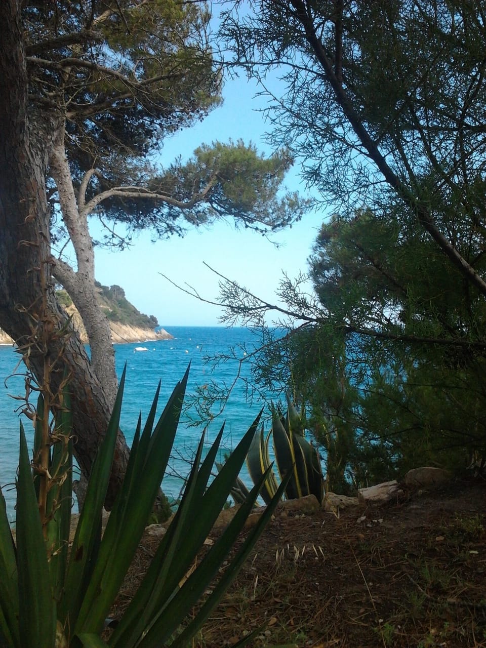 Beach