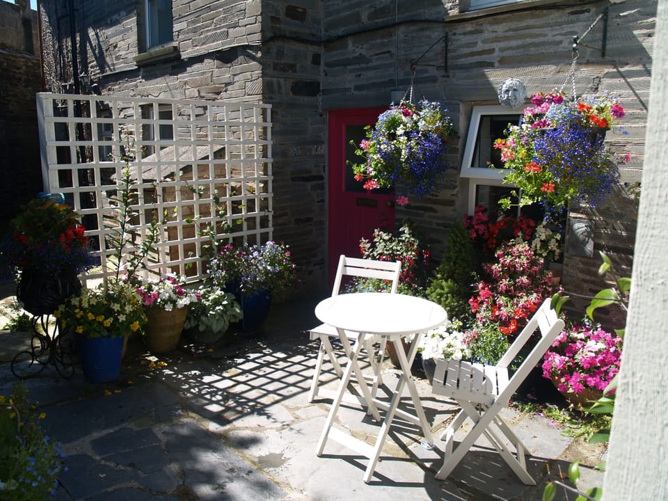 pretty courtyard garden , nice to sit and enjoy the flowers secure area for dogs