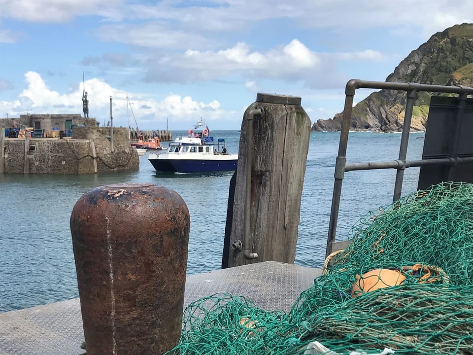 Boat trips out of Ilfracombe harbour