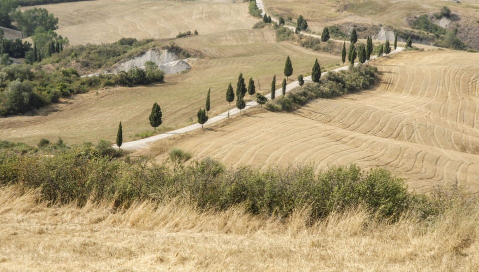 view of the road that leads to the villa