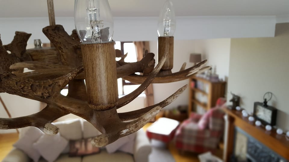 No animals were harmed.