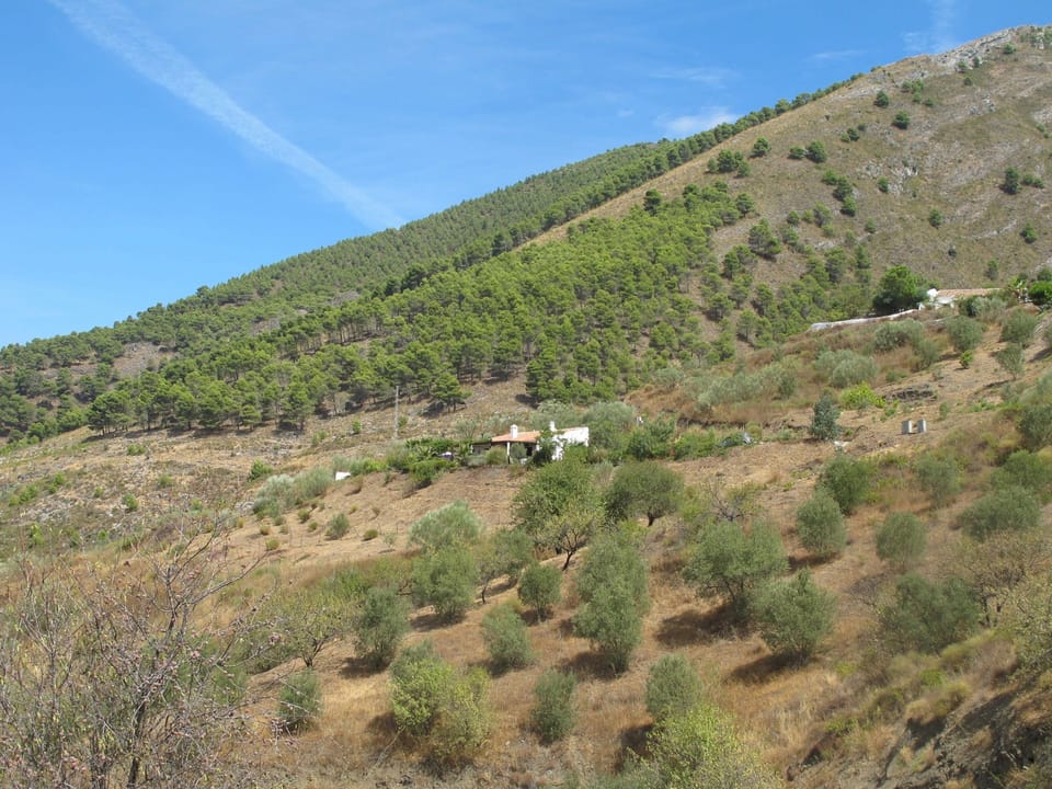 the house