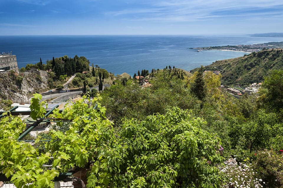 The view over the trees