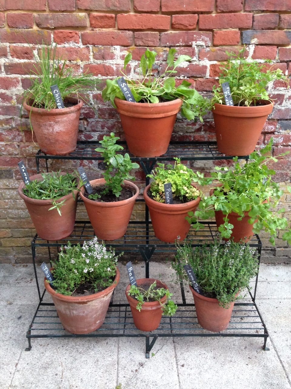 Take your pick from a range of aromatic herbs outside the kitchen 