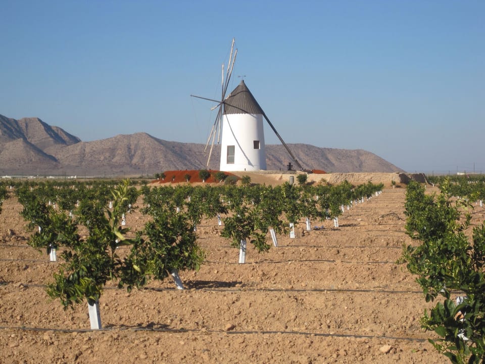 A traditional Murcian windmill