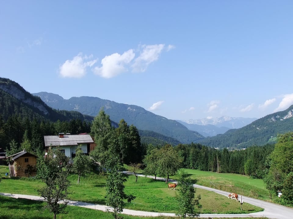 Summer view from the balcony