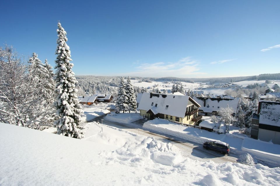Valley view (winter)
