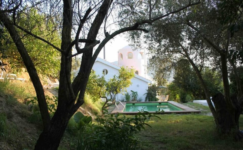 Overview