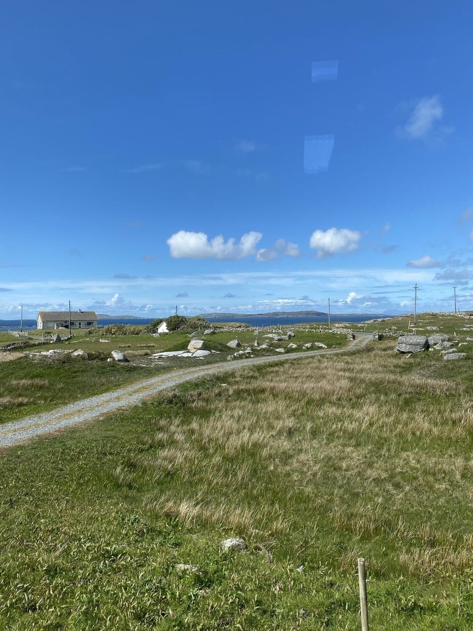 The view from the house