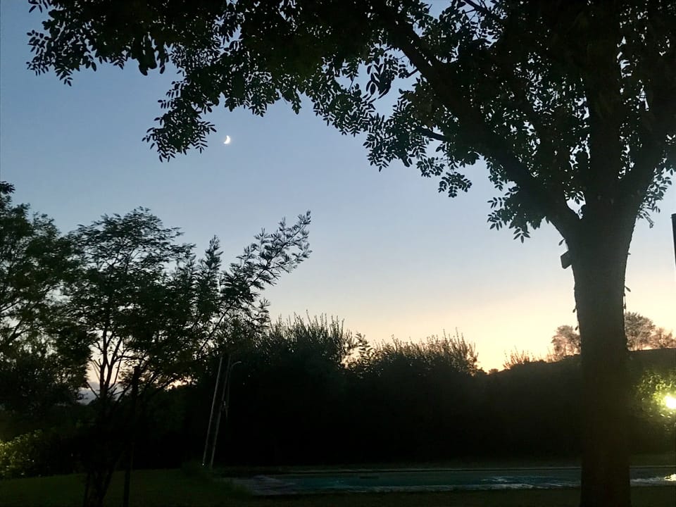Dusk in the garden 