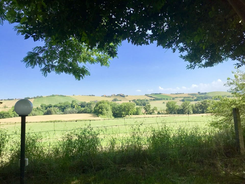 View from the hammock 
