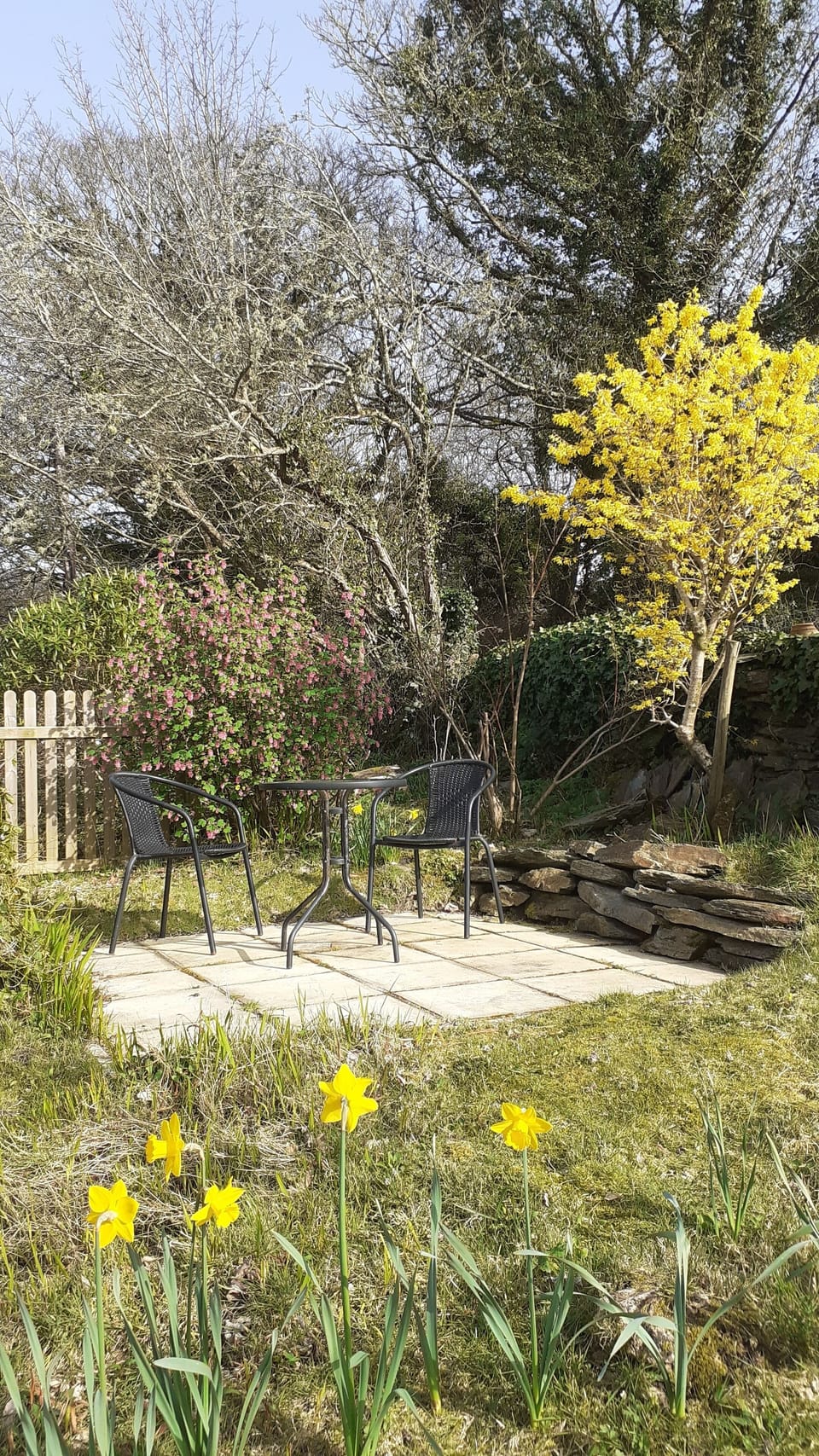 Your seating area