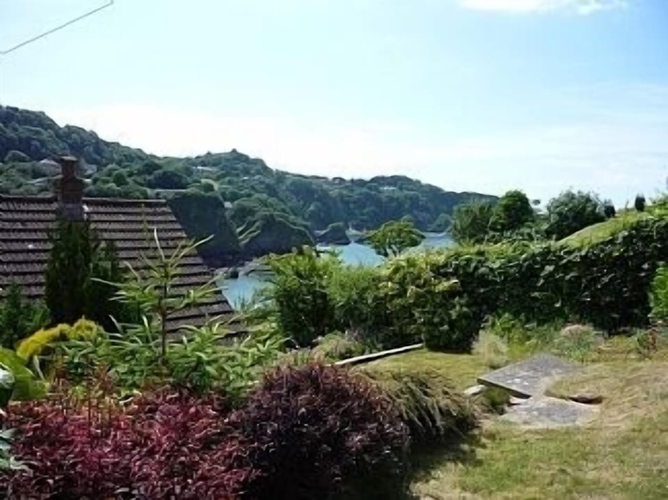 View from the garden