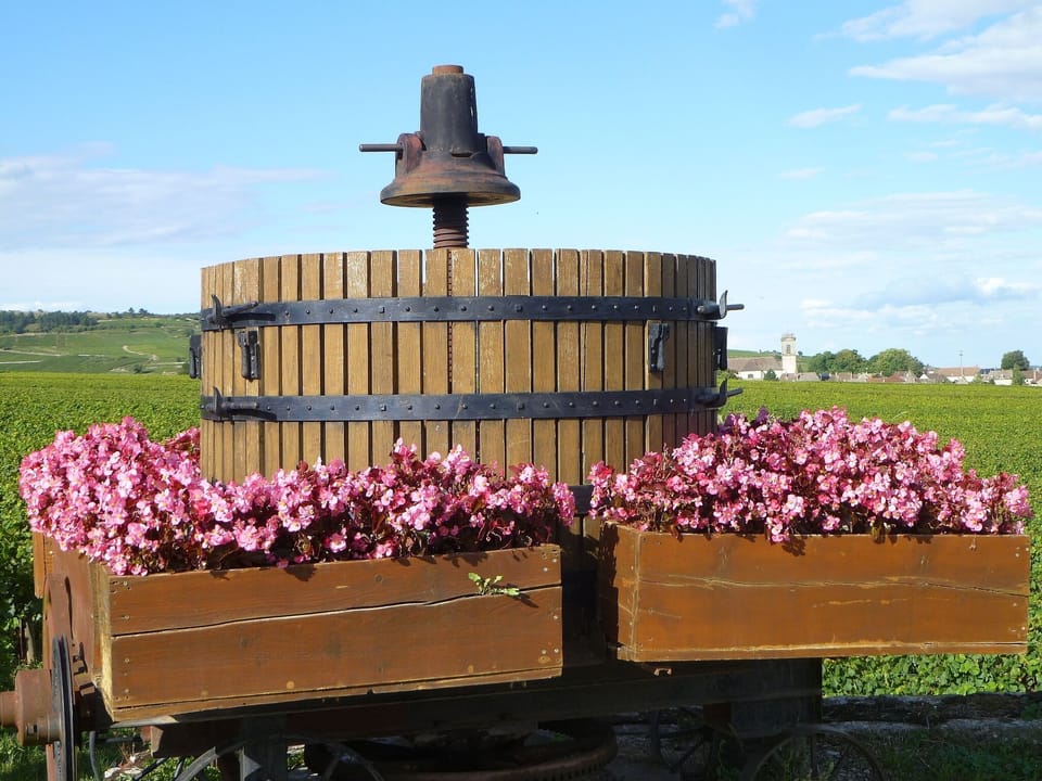 View of Pommard from the south