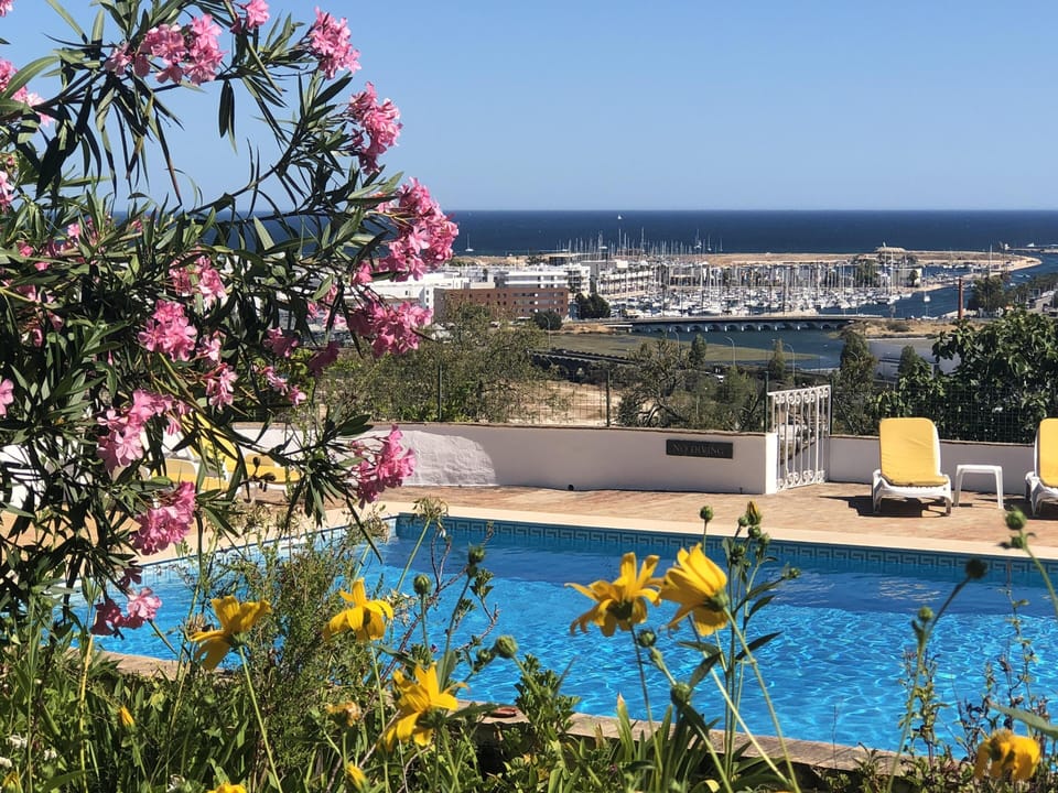 Pool view from garden