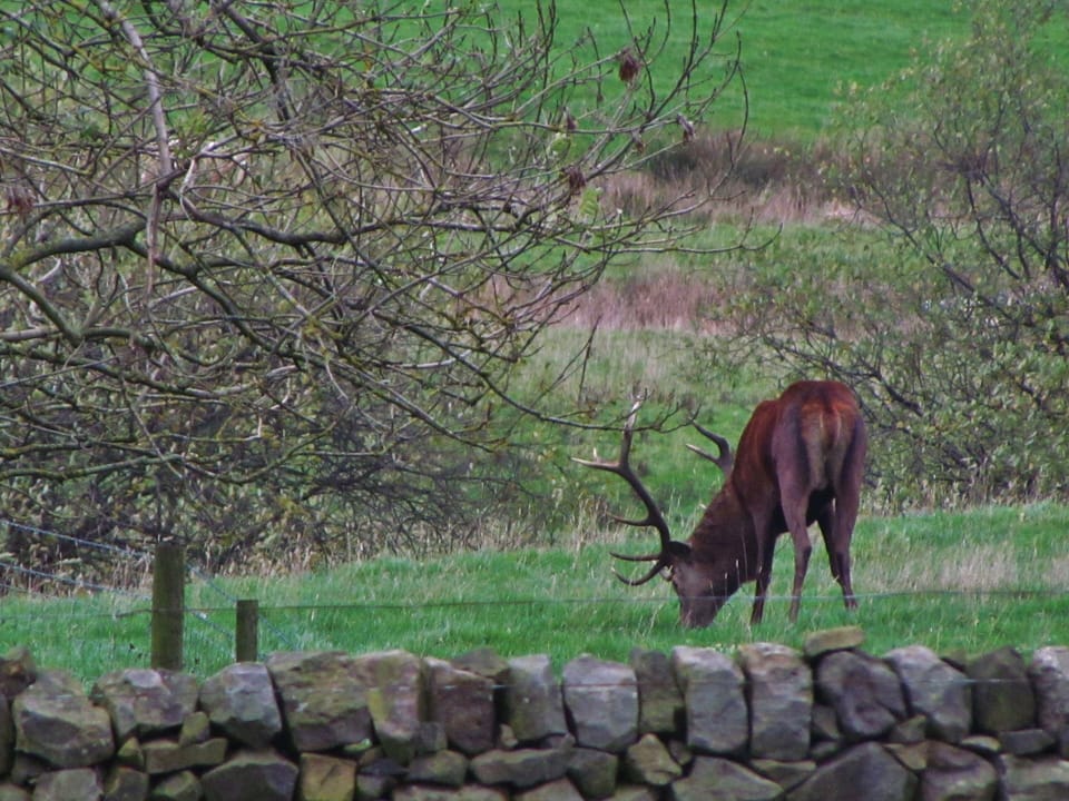 "We have had a super holiday!"