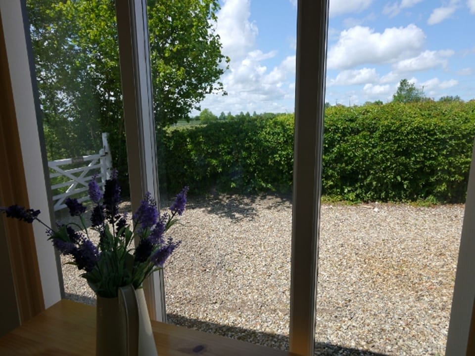 View From Kitchen