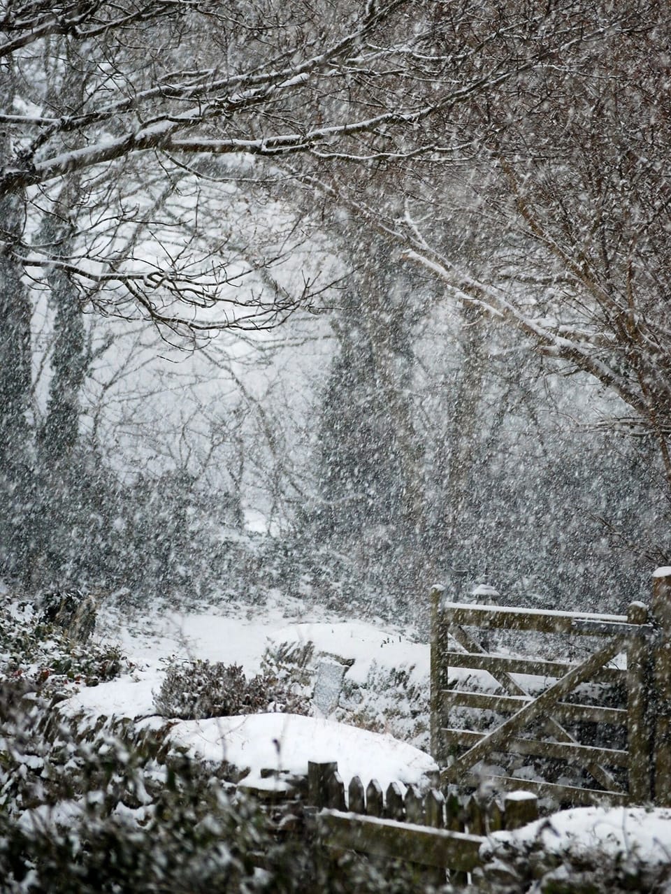 Coswarth in the snow in Dec