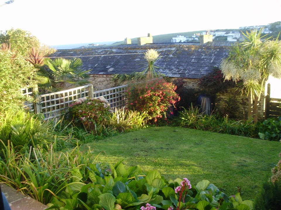 south facing garden