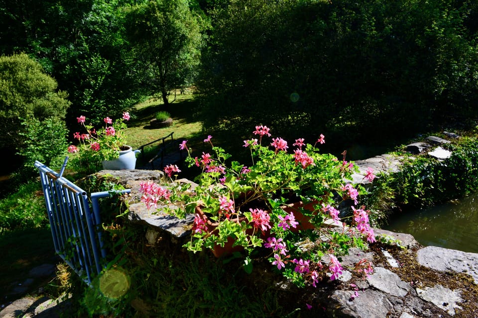 Looking down to the river and pool from the breakfast table 