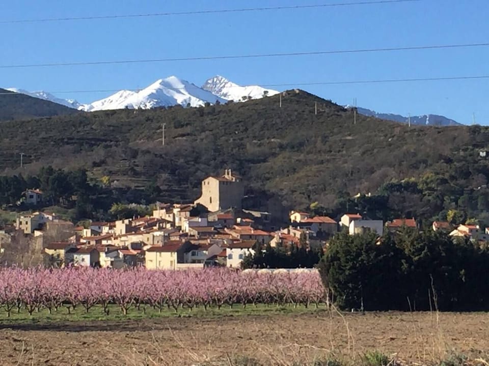 Bouleternère with snow capped Canigou in background and beautiful peach orchards