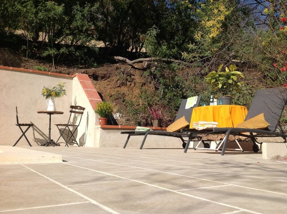 Sunny pool terrace in February with the mimosa beginning to bloom