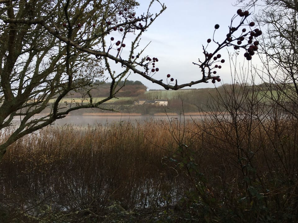 Early morning mist over Loe Pool