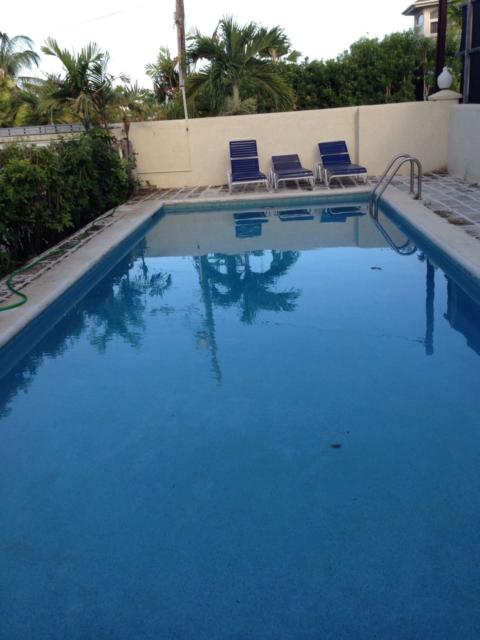 The pool
