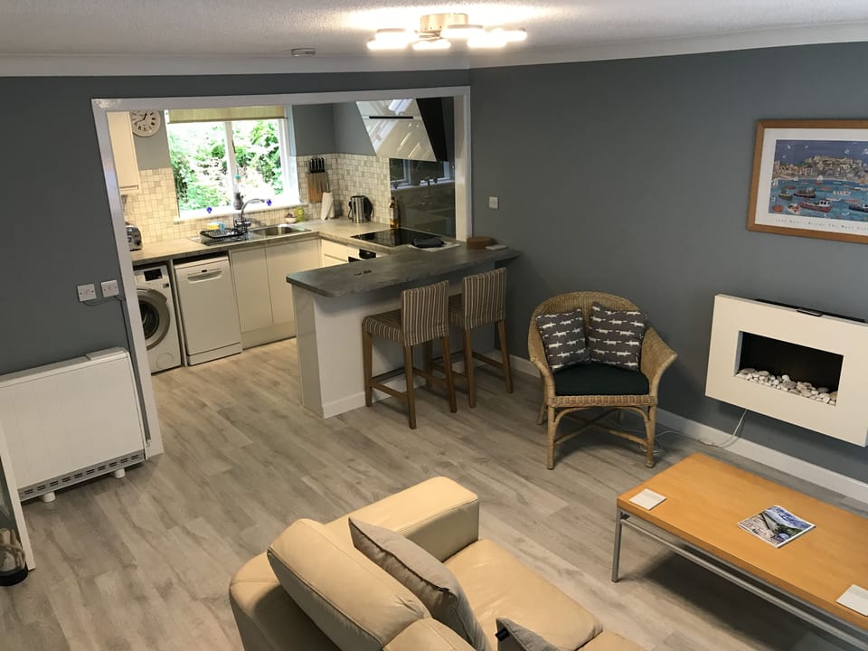 Living room and kitchen