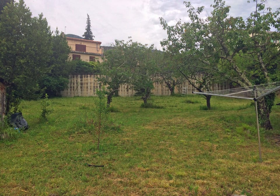 Garden with cherry trees