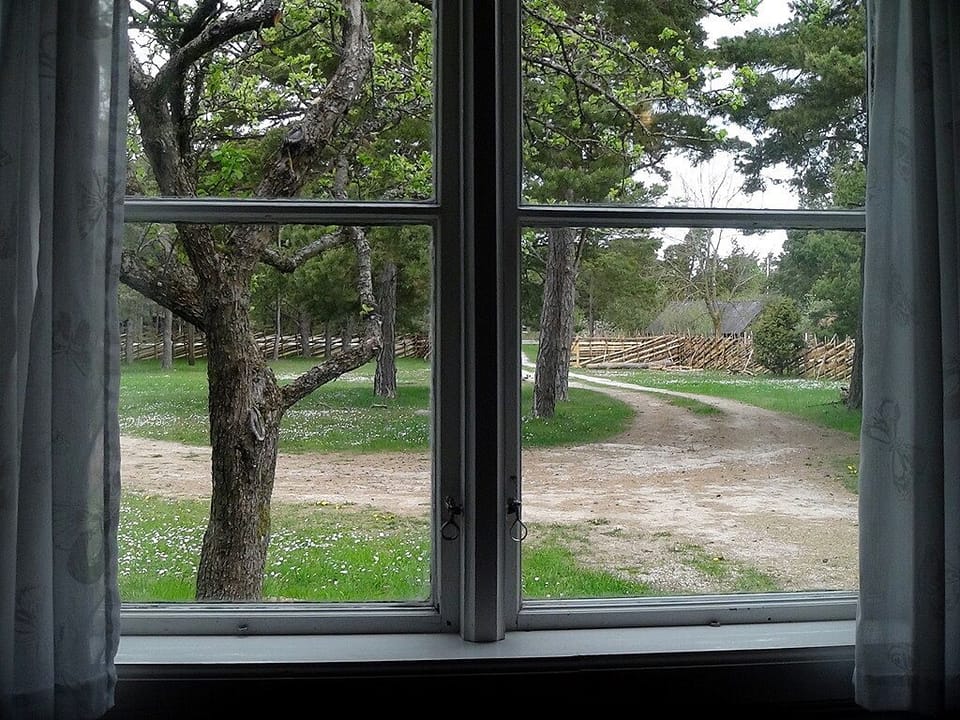 View from living room. The way to the main road.