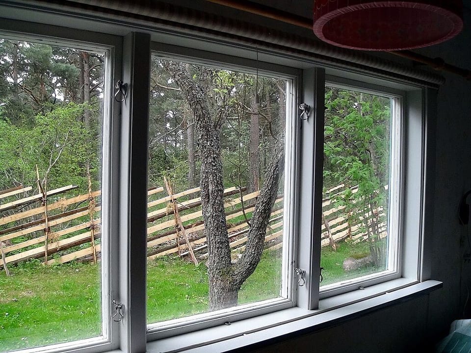 The small forest behind the cabin. View from bedroom.