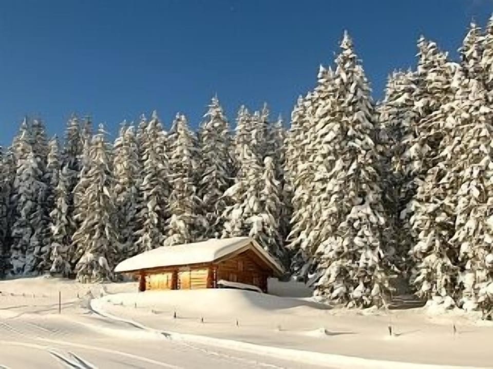 Majestic Piste
