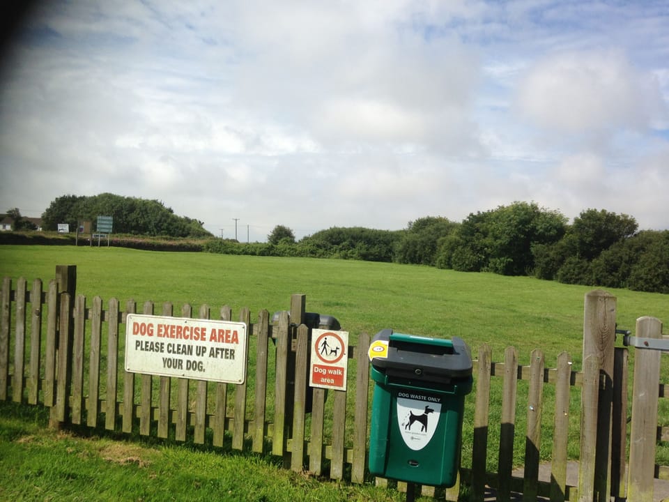 Dog walking field on site