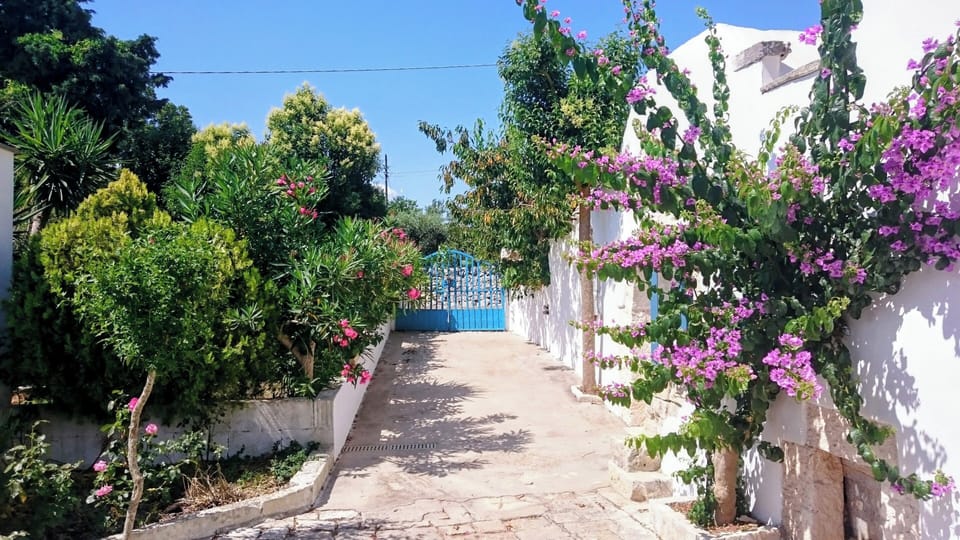 Outbuilding Just visible to left. 