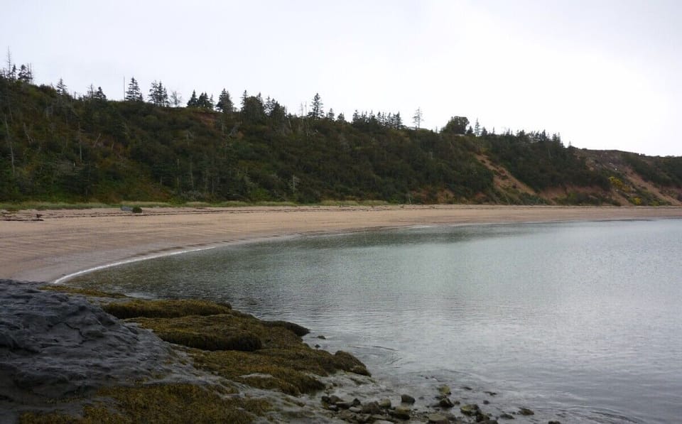 Nearby Peaceful Sandy Beach