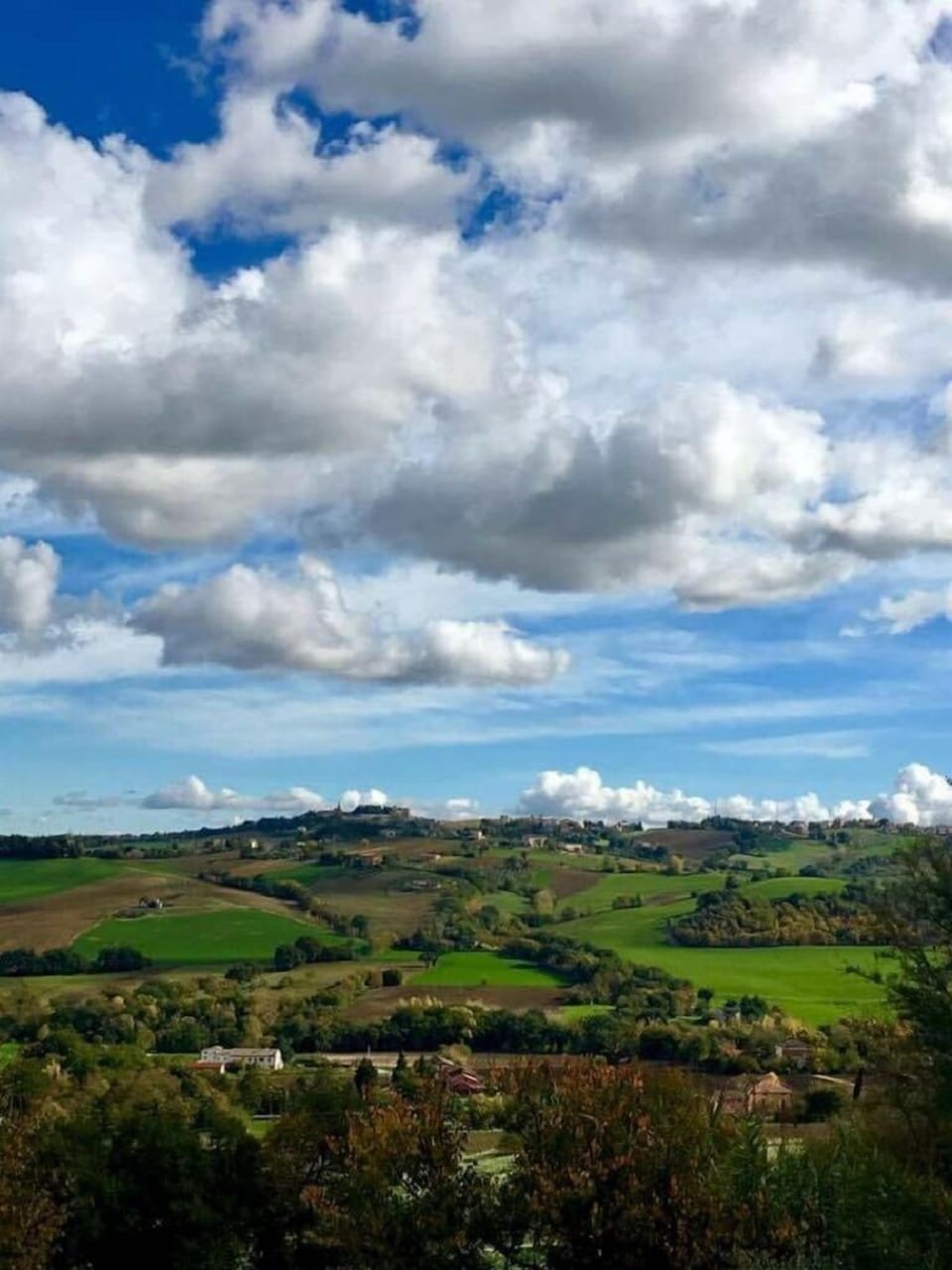 VIEW FROM THE HOUSE