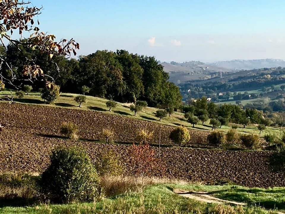 VIEW FROM THE HOUSE