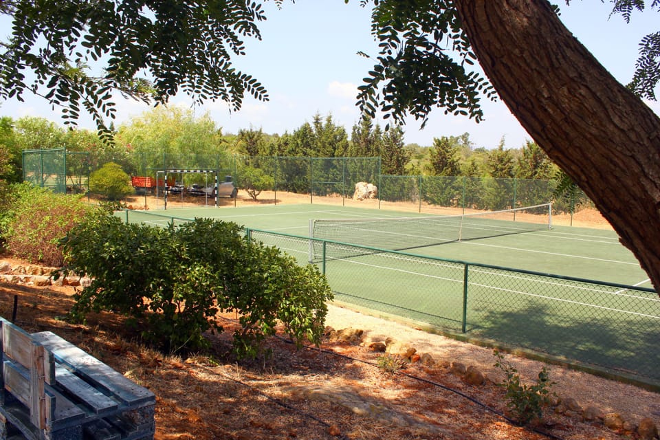 Sport court