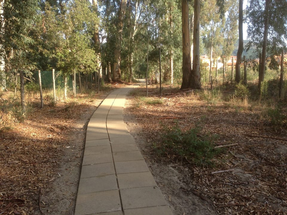 through the scenic pine forest to the beach from 67g Pizzo Beach Club