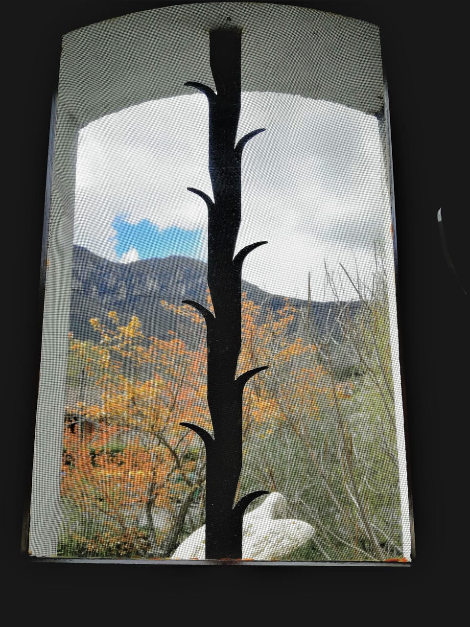 View from shower room window