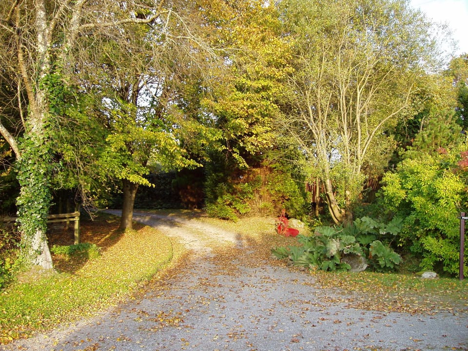 Access track.