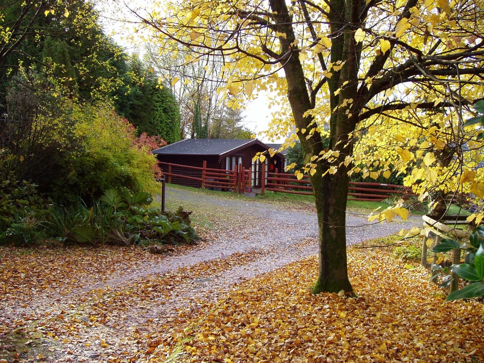 Outside autumn colours.
