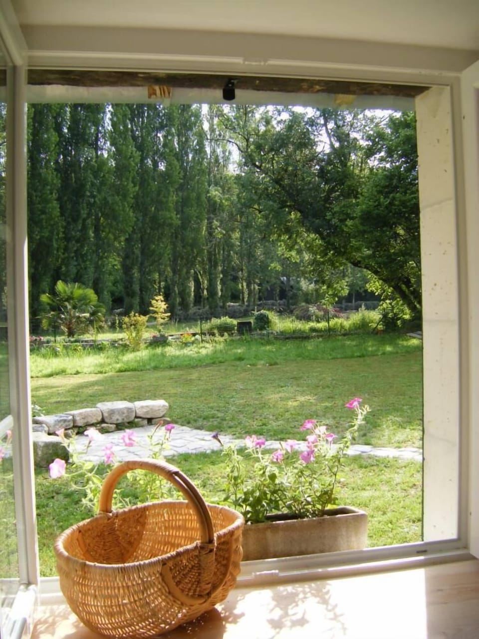 Garden, Park
