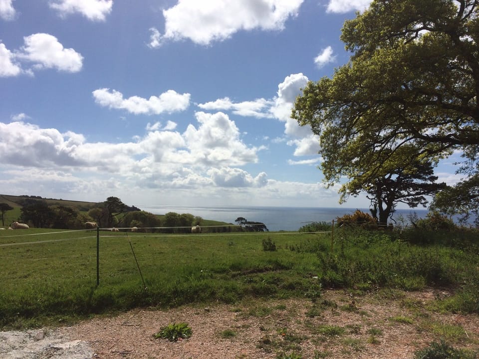 Local area - steep rolling Devon hills leading to beautiful seas