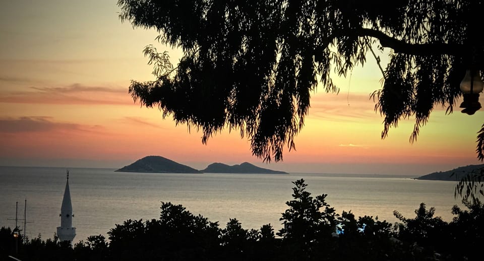 Views to Mouse and Snake Island
