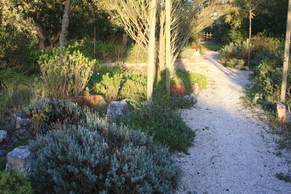 Main garden, aromatic