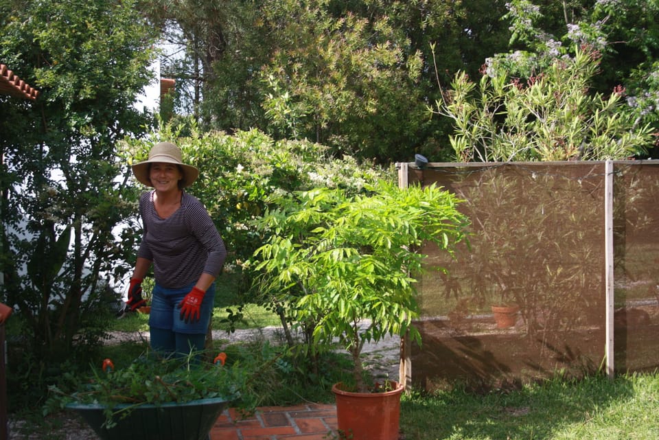 Gardening